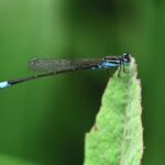 赏金女王的成功案例分析:她们的故事启示 50ajosq