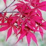 赏金女王的心理素质:面对压力的应对之道 5ou087b