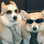 赏金女王的情感生活:在职业与爱情之间的抉择 78e1qe8a